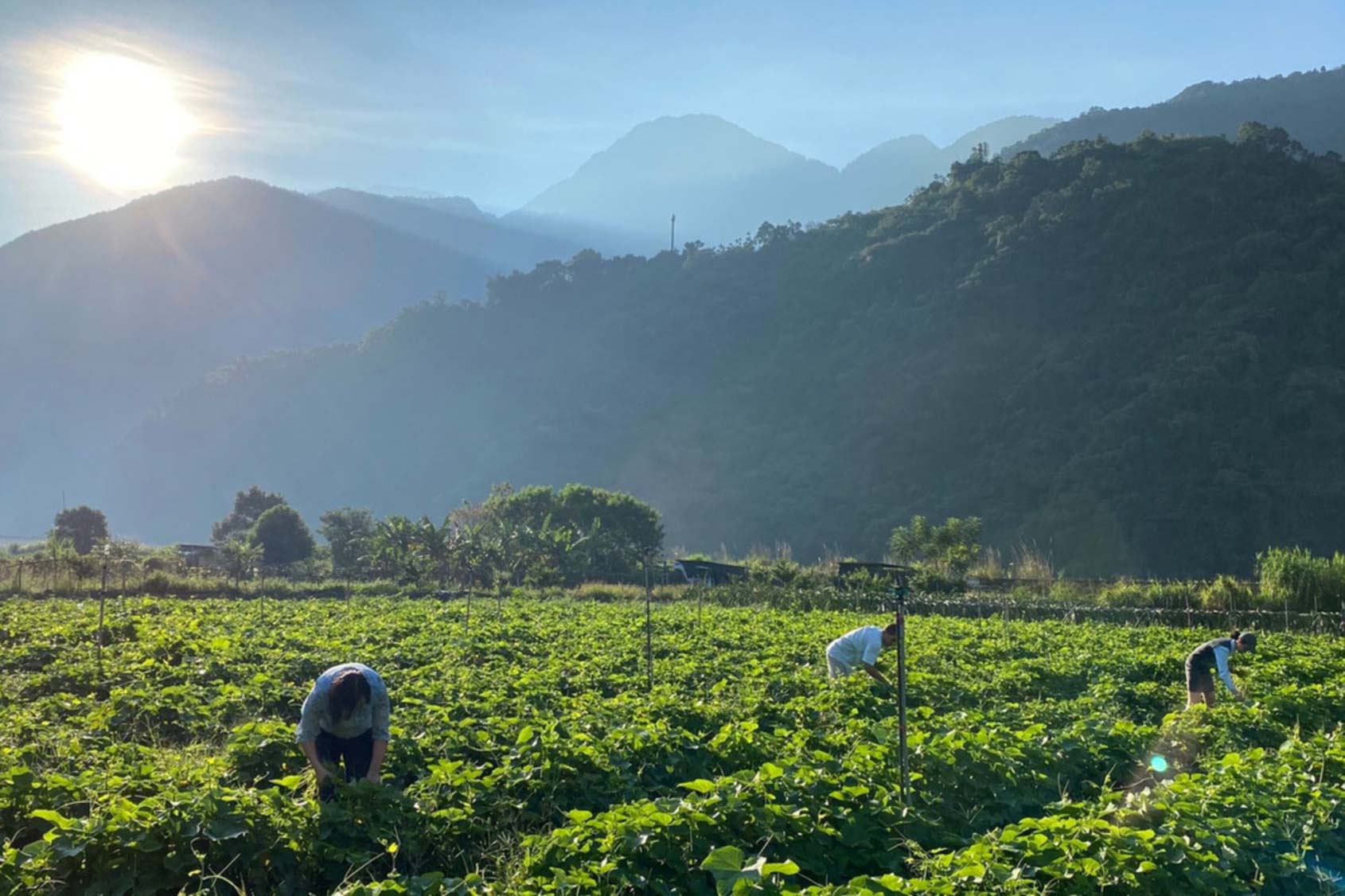 Adopting Friendly Farmland to Protect Land and Ecology