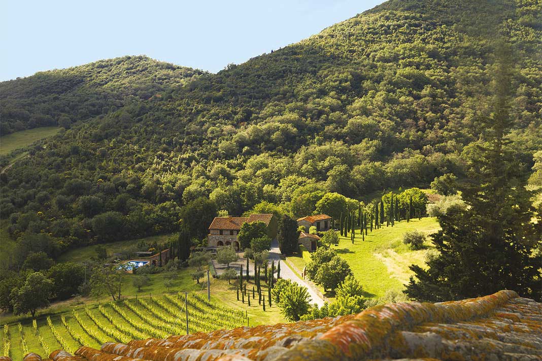 【義大利原裝進口】雲朗自產自銷初榨橄欖油